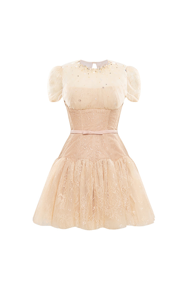 SABINE Lace-detail Tulle Mini Dress