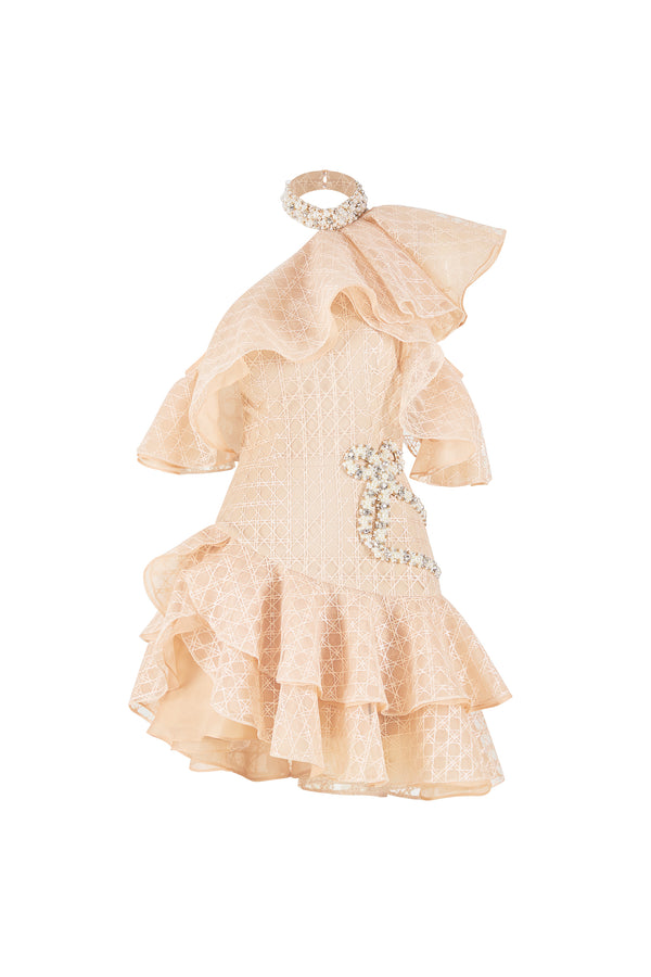 ZINNELLE Ruffle One Shoulder Mini Dress