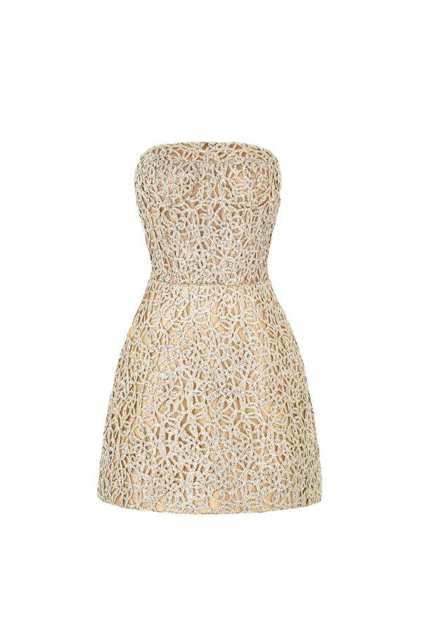 DARLING Mini Dress
